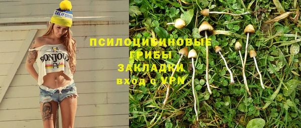 mdpv Ладушкин