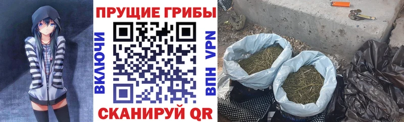 Галлюциногенные грибы мицелий  Ивдель 
